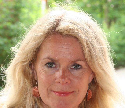 Professor tror ikke Sverige-opptøyer ville skjedd i Norge