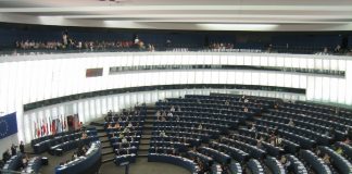 AfD kunngjør ny gruppering i EU-parlamentet