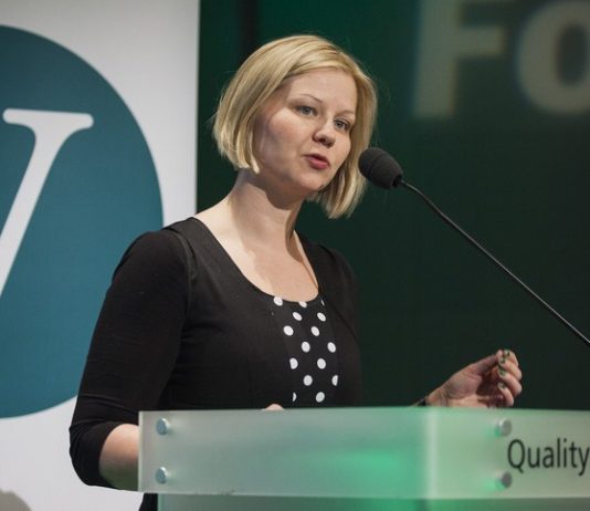 Venstre vil ha flere arbeidsinnvandrere til Norge