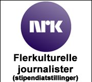 Flerkulturelle journalister
