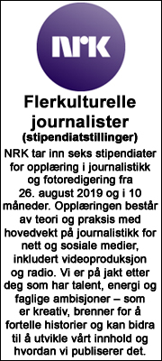 Flerkulturelle journalister