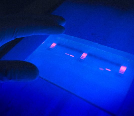 Røde Kors vil ikke DNA-teste barn i Syria for den norske regjeringen