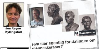 Hva sier egentlig David Reich om menneskeraser?