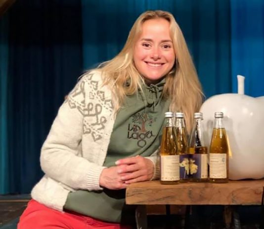Styrkedikt fra Helsesista