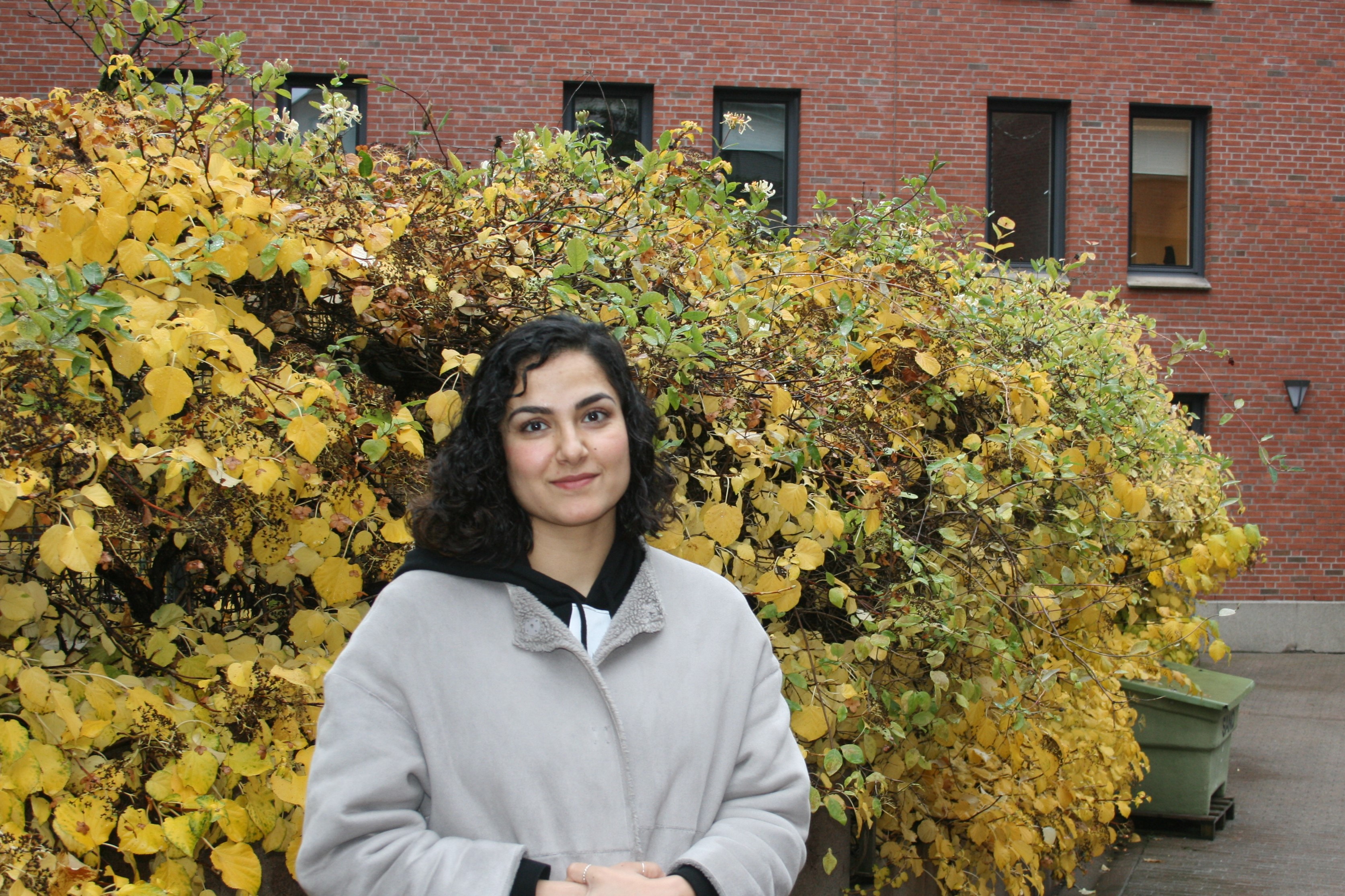 Hasina Shirzad 2