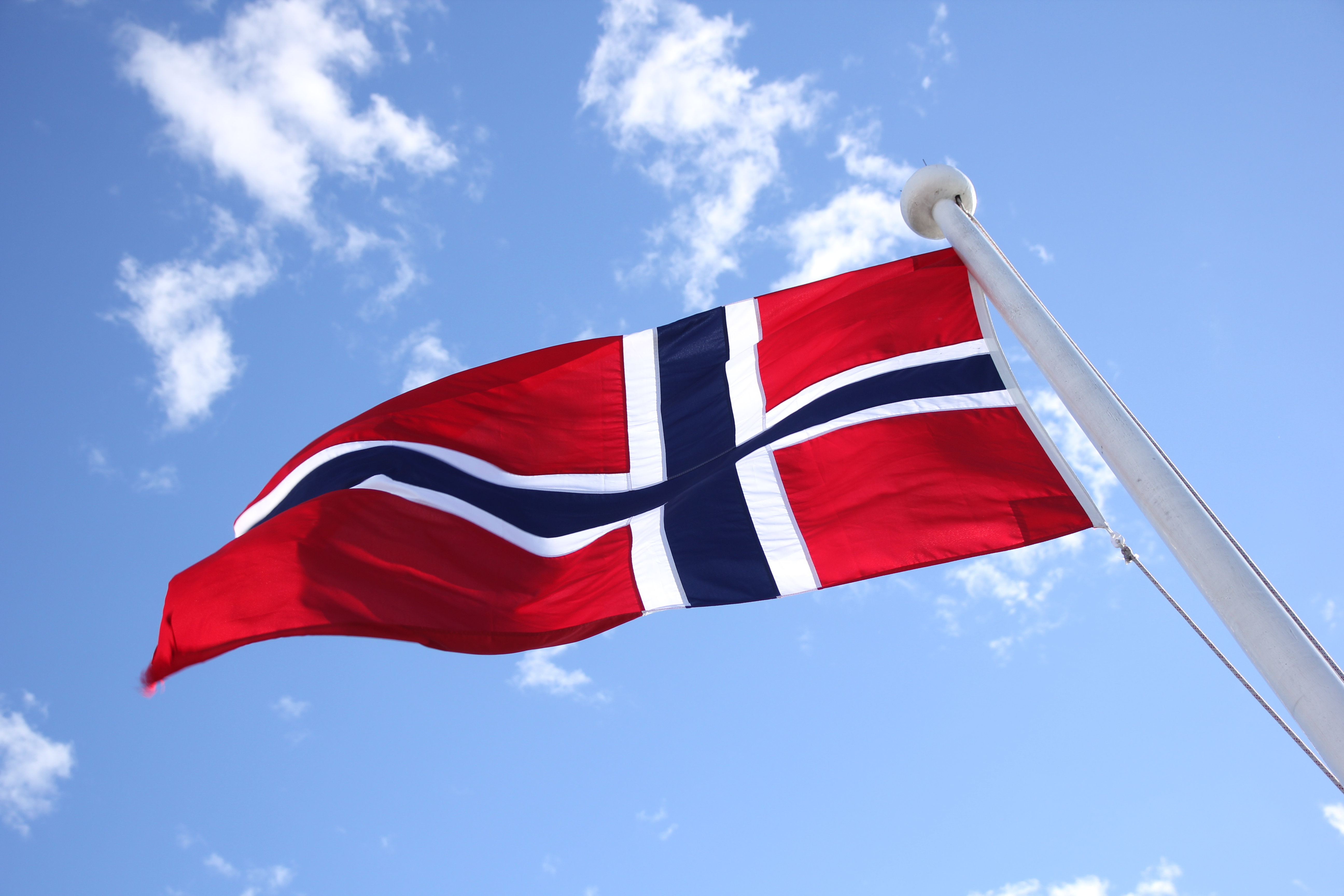 ScanStockPhoto_image_2473356