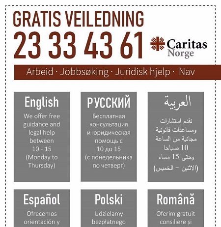 Digital veiledningstjeneste for innvandrere