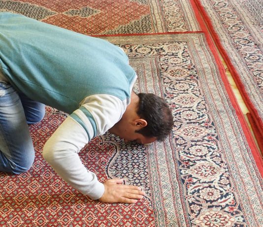 Handlingsplan mot muslimhat truer ikke ytringsfriheten