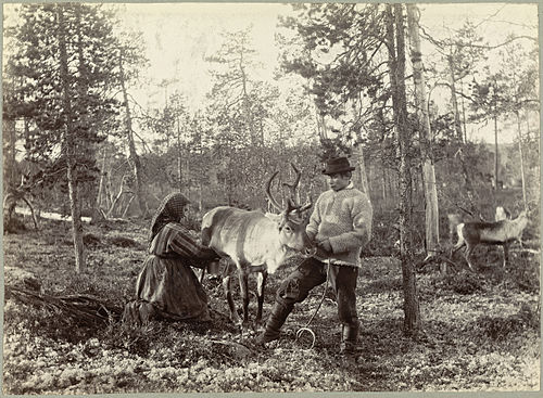 Kvener