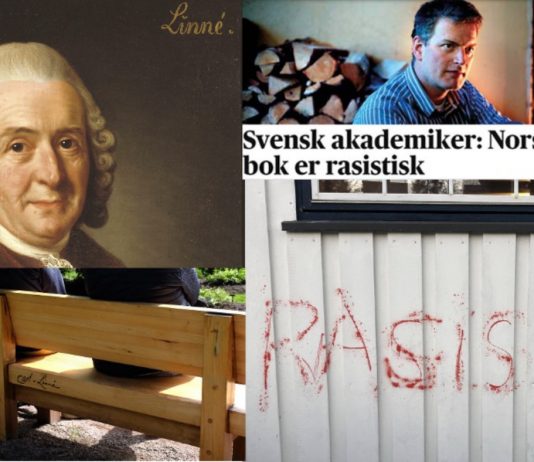 Slik avspores kulturkrigene om rasisme: Fra “Ways of Seeing” til Linné-benk