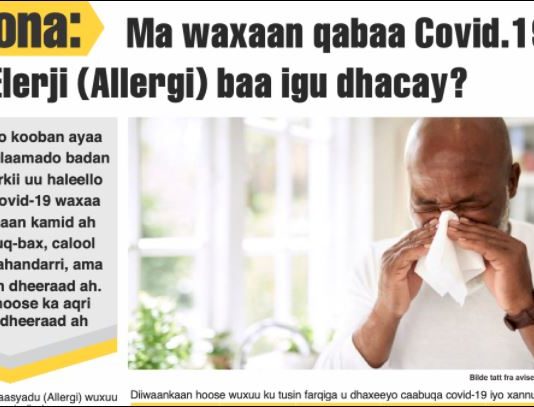 Har jeg covid-19 eller allergi?