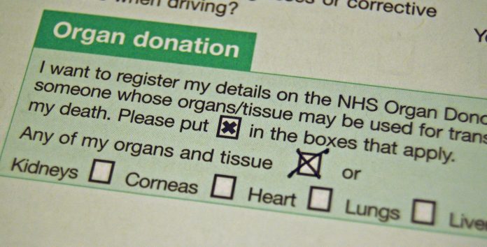 organdonor.jpg