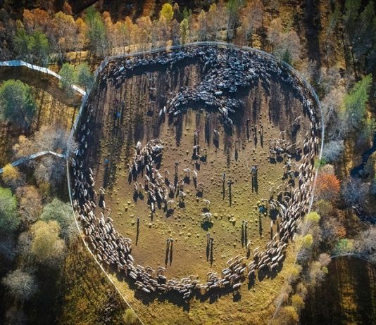 Klimaspørsmål utfordres på teaterscenen