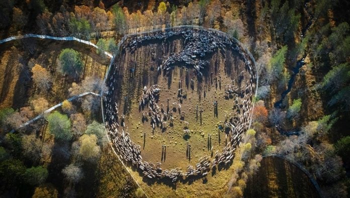 Foto Dan Jåma