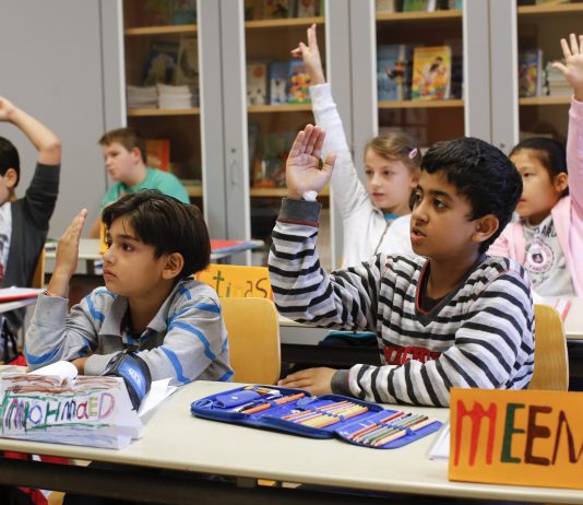 Sats på språk og kompetansestyrking i skolen | Avin Rostami