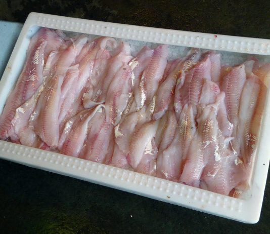 FHI: Å spise mer mager fisk minsker risiko for diabetes