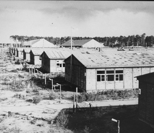 Nazi-tiltalt 96-åring for retten i Tyskland