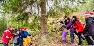 Ordføreren og Ellingsrudåsen-elever hugget ned julegran