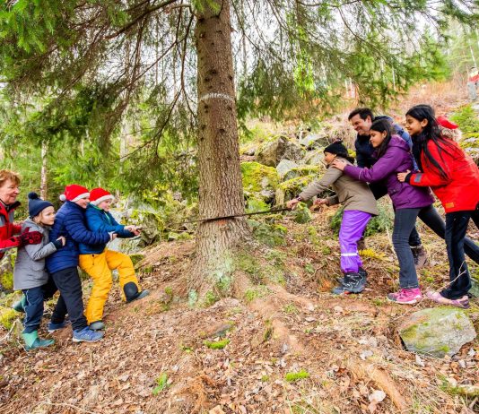 Ordføreren og Ellingsrudåsen-elever hugget ned julegran