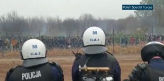 Polen har pågrepet rundt 100 migranter på grensen til Hviterussland