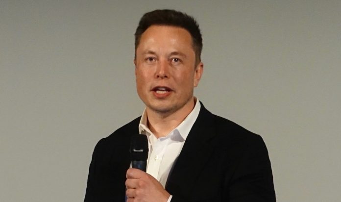 musk.jpg