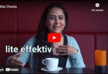 Shah-regimet et slags demokrati