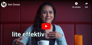 Shah-regimet et slags demokrati