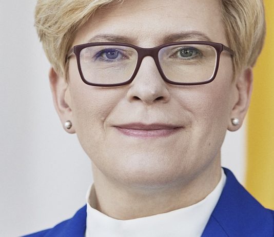 Litauen vil ha kameraer langs hele grensa mot Hviterussland