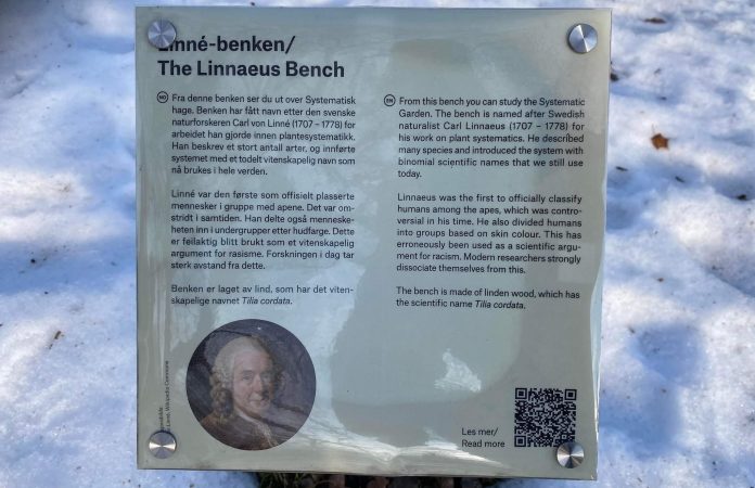 linne-benk,jpg II