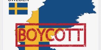 Hatkampanje mot svensk barnevern