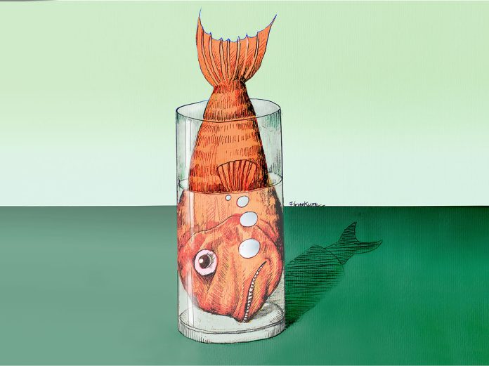 2022_25_05_FISH_IN-GLASS_72