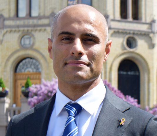 Farahmand stiller som nestleder i Høyre