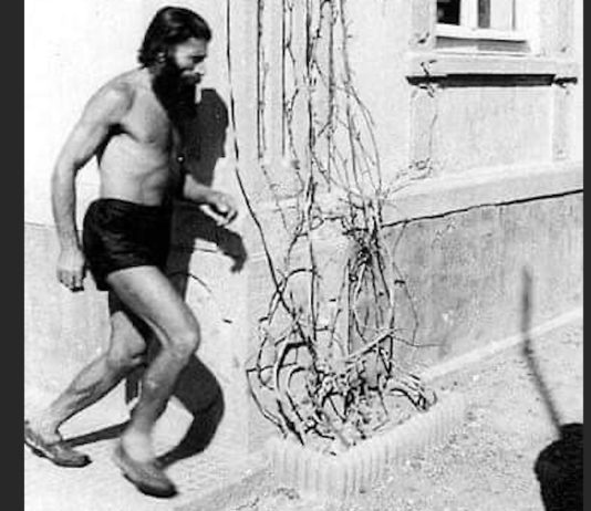 Tyrkisk Tarzan til inspirasjon for miljøaktivister og innvandrere | Sercan Leylek