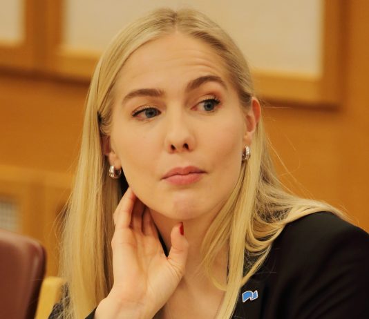 – Norge bør bistå med å sikre Europas yttergrense