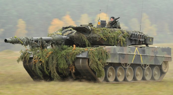 leopard2.jpg