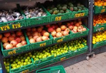 Norsk vegansamfunn tapte i retten – får ikke status som livssynssamfunn