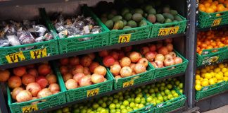 Norsk vegansamfunn tapte i retten – får ikke status som livssynssamfunn