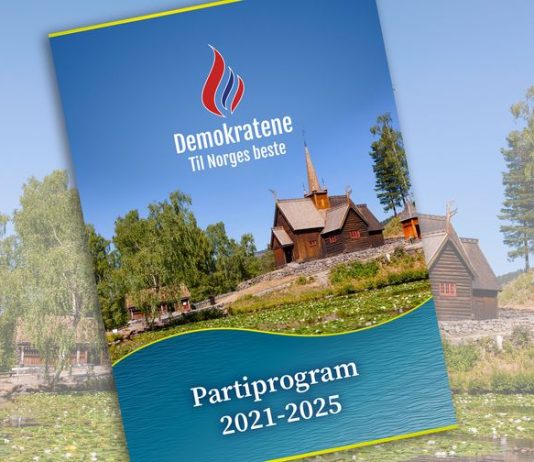 «Din muslimske banditt, skulle vært banket både blå og gul»: Så ekstreme er noen av Norgesdemokratenes kandidater