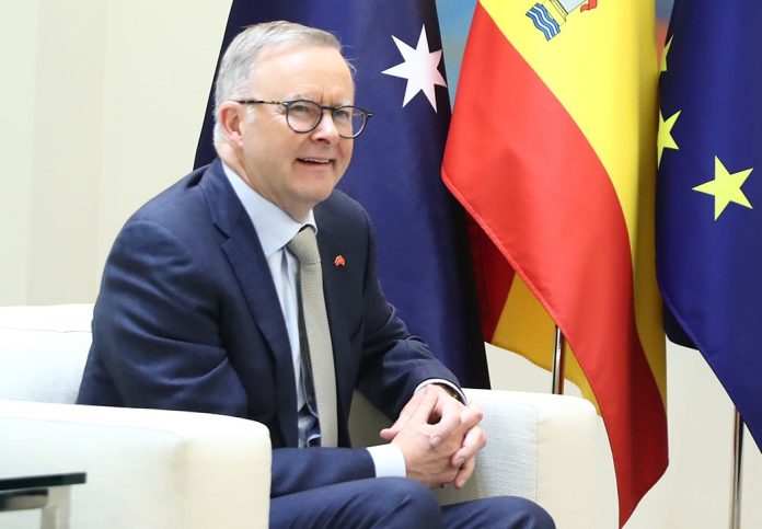 albanese.jpg