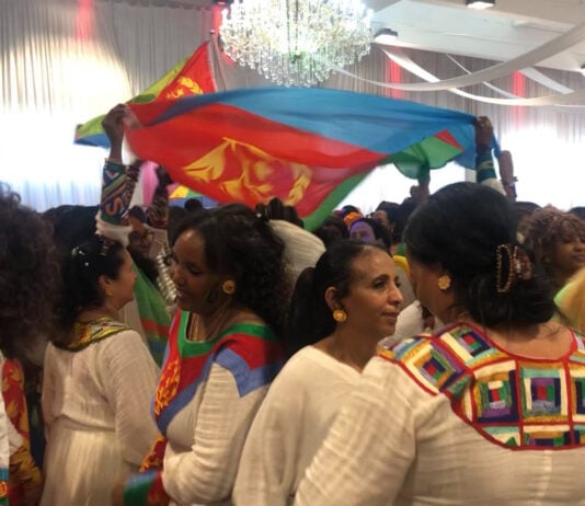 Afrikanske innvandrere står for tiårets største integreringsløft – Eritrea skiller seg ut