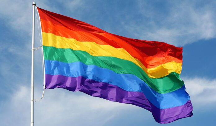 Pride flagg Prideflagget vaier bare sjelden over europeiske skoler.