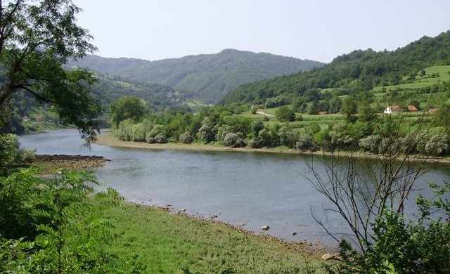 drina.jpg