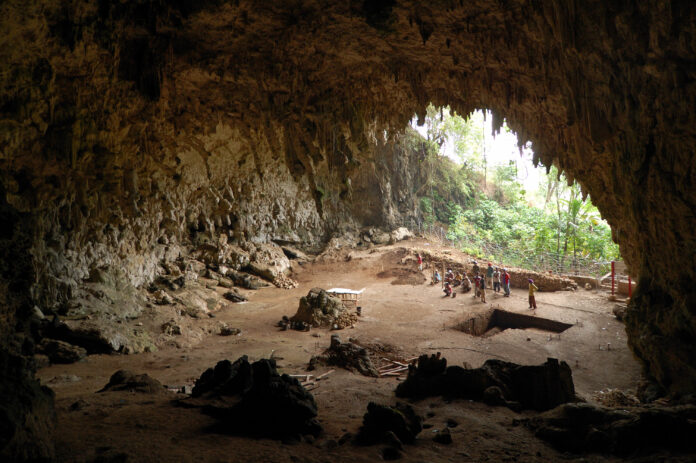 floresiensis.jpg