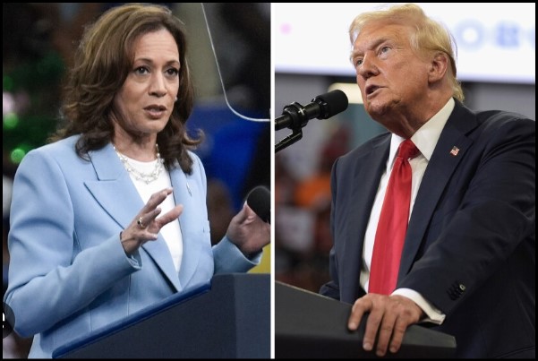 kamala donald