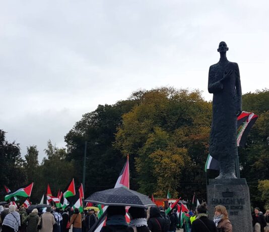 Norsk-palestinere feiret våpenhvile