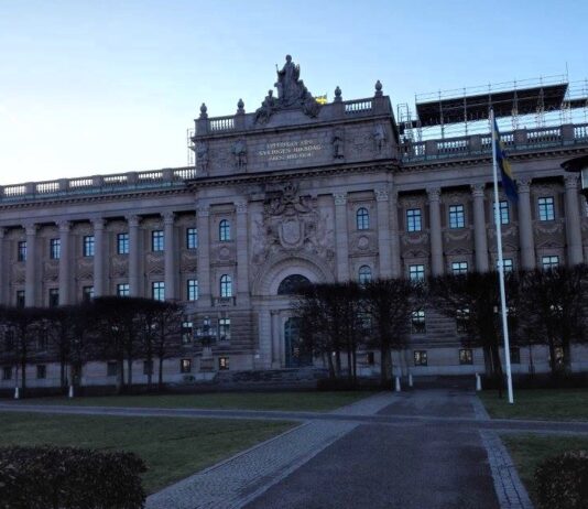 Terrortiltalt i Sverige innrømmer skyld