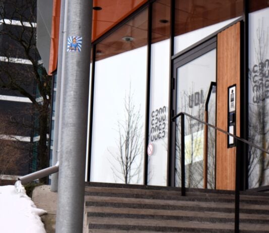Oslo-politiet har pågrepet svensk gjengleder