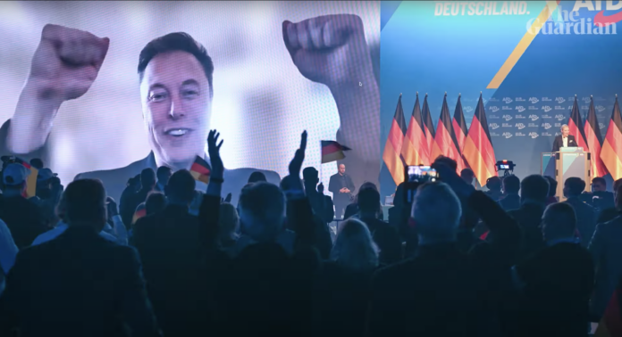 Musk AfD