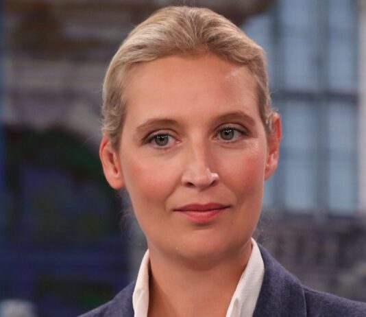 Tyske AfD søker forsvarssamarbeid med Le Pen og Rassemblement National