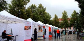 Innvandrere rapporterer mer psykiske plager – festival vil senke terskelen for hjelp